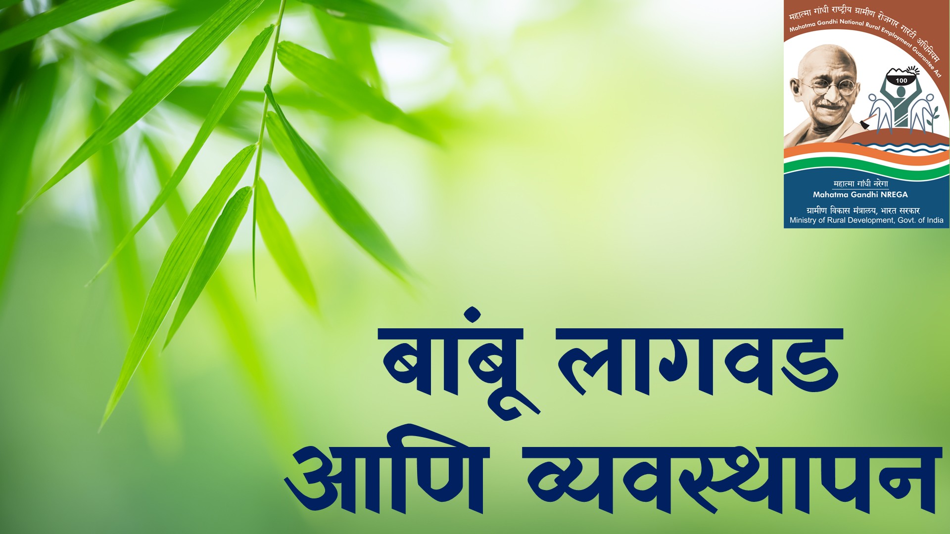 cbc bamboo Course.jpg